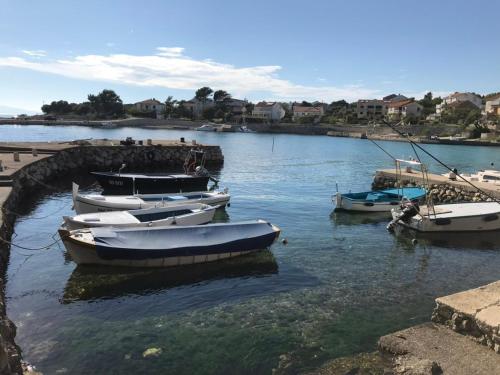 a group of boats docked in a body of water at Apartments and rooms LJUBICA in Lun