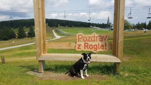 ズレチェにあるRogla Apartma Kekecのギャラリーの写真