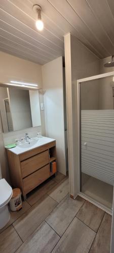 a bathroom with a sink and a toilet and a mirror at La p'tite maison in Londinières