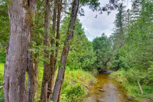 a stream in the middle of a forest with trees at On-Site VAST Hiking Trail Hardwick Farmhouse! in Hardwick