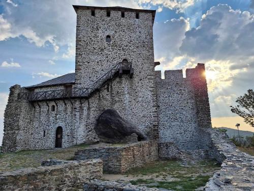 a castle with a lion statue in front of it at Vila Vera in Vršac