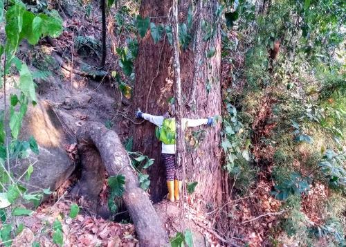 a statue of a boy hanging from a tree at Romeo y Julieta - Cabaña Privada en Minca in Minca