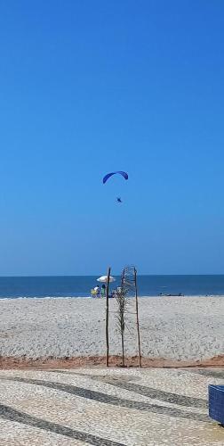 a bird flying over a beach with a tree at Apto Aconchegante a 30 mts do Mar e Pertinho do Centro in Matinhos
