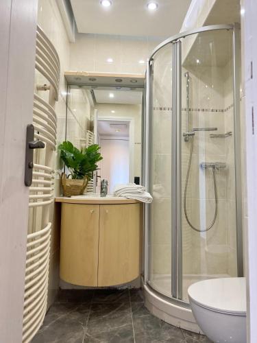 une salle de bain avec une douche, un lavabo et des toilettes dans l'établissement Splendide Studio avec balcon - Trouville centre, à Trouville-sur-Mer