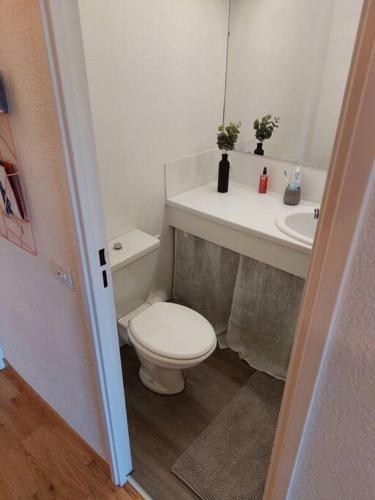 une salle de bain avec des toilettes blanches et un lavabo dans l'établissement Joli studio 4 couchages aux pieds des pistes, à Puy-Saint-Vincent