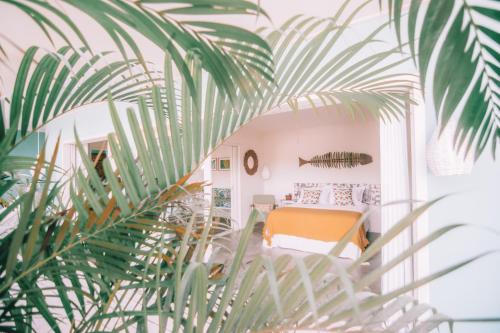 a room with a bed and a plant at Cactus Lodge Pipa in Pipa