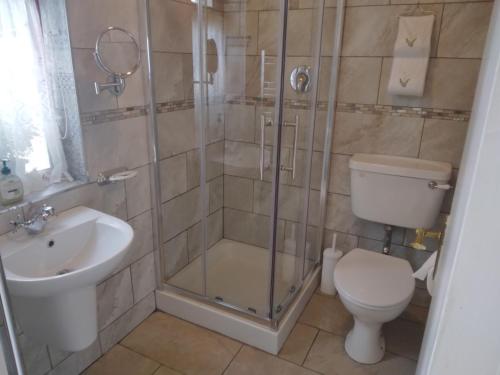 a bathroom with a shower and a toilet and a sink at Hannah's Cottage in Farranfore