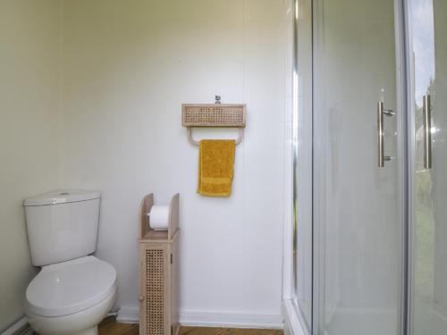 a bathroom with a toilet and a shower at Flora's Hut in Liskeard