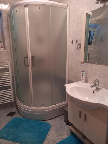 y baño con ducha y lavamanos. en Apartman Dani en Dražice