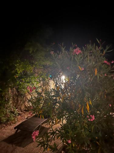 een tuin met roze bloemen en een licht bij Le Mas de Trévouse in Saint-Saturnin-lès-Avignon