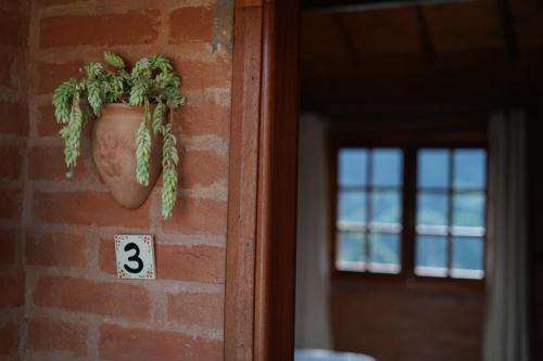 a plant in a pot hanging on a brick wall at Recanto de Minas in Monte Verde