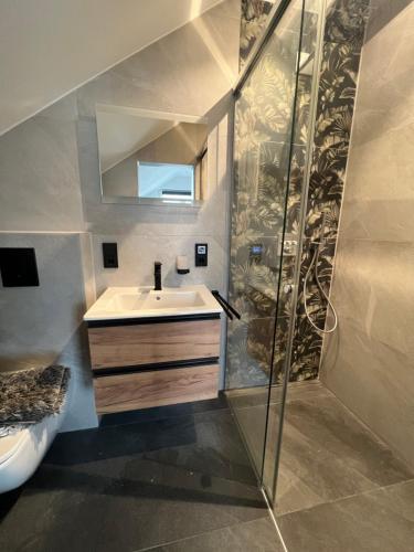 a bathroom with a sink and a shower at Pension FeWo Schwärzer in Weiherhammer