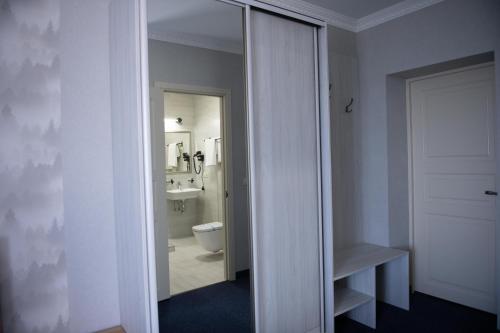 a bathroom with a toilet and a sink and a mirror at Дбайлива Ципа in Mizhhirʼʼya