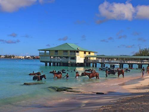 un grupo de personas montando caballos en el agua en la playa en 8 Banyan Court, en Bridgetown