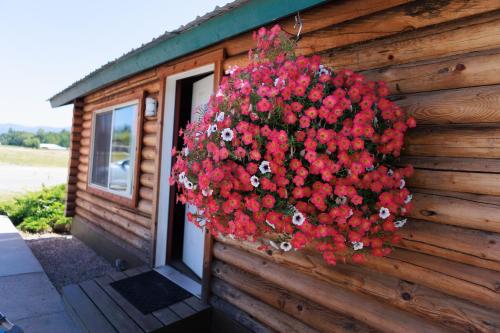 um cesto pendurado de flores vermelhas no lado de um edifício em Creekside Cabins em Saint Ignatius