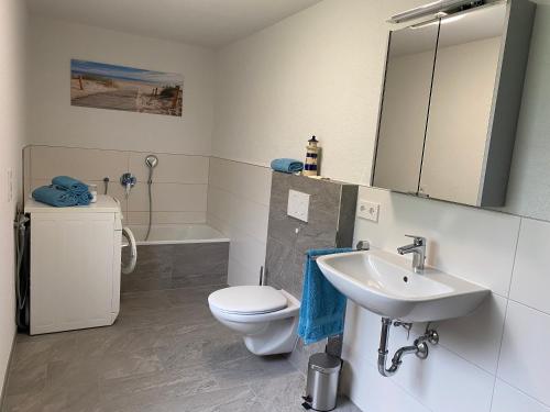 a bathroom with a sink and a toilet and a mirror at Ferienwohnung am Liederbach in Waldshut-Tiengen