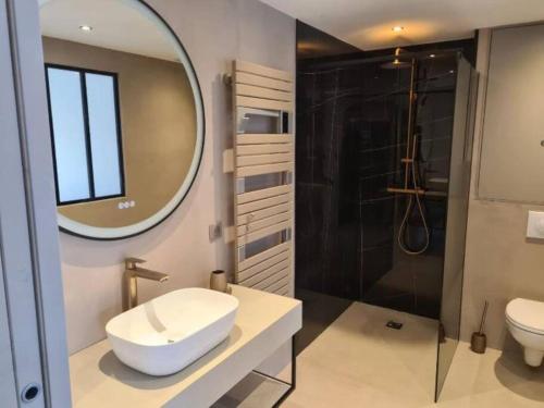 a bathroom with a sink and a mirror and a shower at Villa Allegra T2 60M2 in Le Beausset