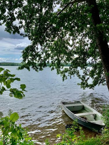 a boat sitting in the water under a tree at REMAR - Apartamenty z widokiem na Jezioro Biale in Augustów