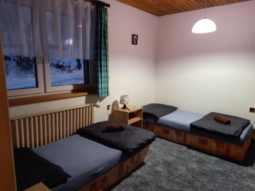 a room with two beds and a window at Pension Aneta in Vysoké nad Jizerou
