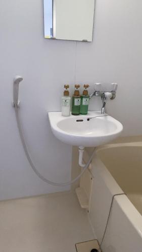 a bathroom with a sink and a mirror at Takamatsu-house201 in Shimminatomachi