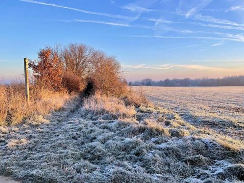 a snow covered field with a road in the middle at Gîte 'Au bout du Tige' in Braives