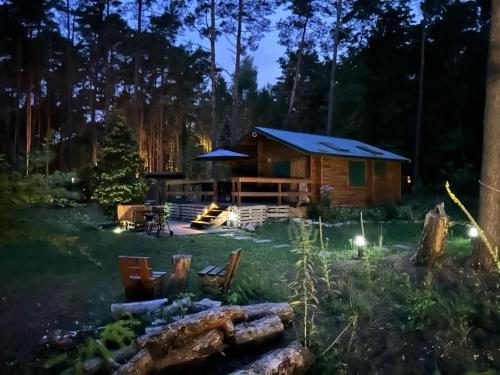 una cabaña de madera en el bosque por la noche en Urocza chatka w lesie nad wodą, en Skubianka