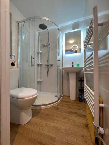 een badkamer met een douche, een toilet en een wastafel bij Citrus Chalet in Redruth