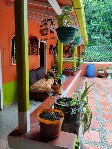 Zahrada ubytování Casa Mamá Chelita
