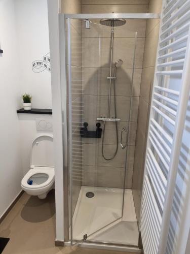 a shower stall in a bathroom with a toilet at Maisonnette cosy in Givet