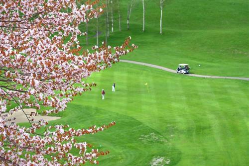people playing golf on a golf course with pink flowers at Hilton Niseko Village in Niseko