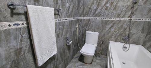 a bathroom with a toilet and a sink and a tub at Sami BnB - Apt 02 Makongo after Mlimani City in Dar es Salaam