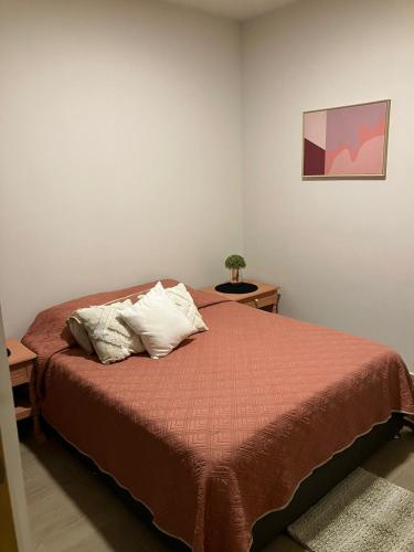 um quarto com uma cama com duas almofadas em Departamento lago de chapala con patio em Jocotepec