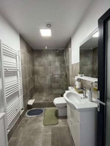 a bathroom with a toilet and a sink at Casa Boila in Bîrsana