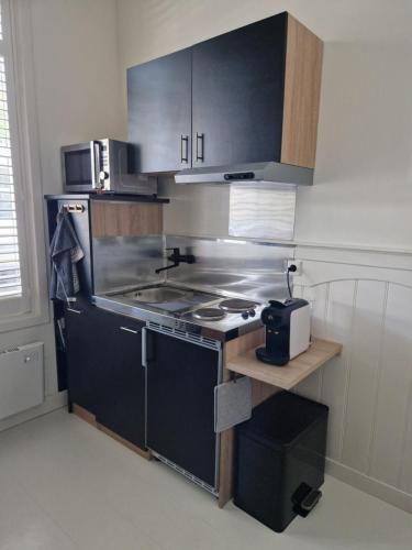 a kitchen with a stove and a sink in it at Guesthouse KST in Zandvoort
