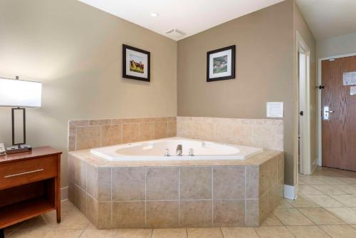 Comfort Inn & Suites Black River Falls I-94 tesisinde bir banyo