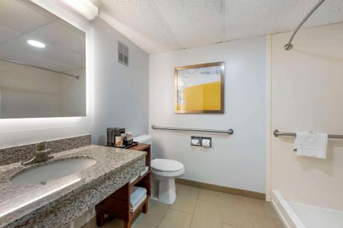 a bathroom with a sink and a toilet and a mirror at Comfort Inn Hastings in Hastings