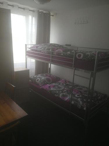2 Etagenbetten in einem Zimmer mit Fenster in der Unterkunft RENA in Prag
