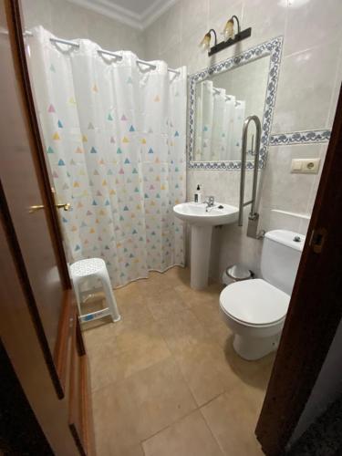 薩阿拉的住宿－Casa “El Zumaque” en Zahara de la Sierra，一间带卫生间和水槽的浴室