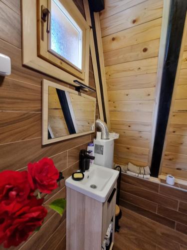 a bathroom with a sink in a wooden cabin at Eka's Village in Plav