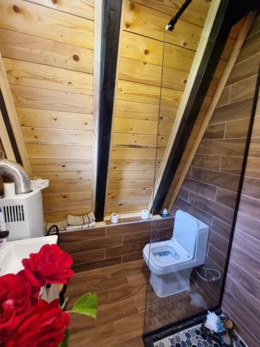 a small bathroom with a toilet in a attic at Eka's Village in Plav