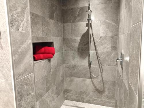 a bathroom with a shower with a red pillow at Apartment Rohrmoser in Laimach