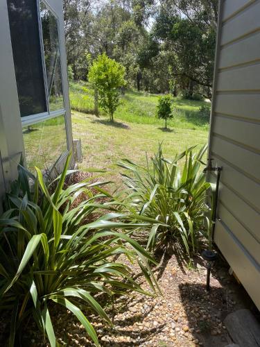 a couple of plants sitting next to a house at Free Spirit in Metung - near the Hotsprings and Golf Course in Metung