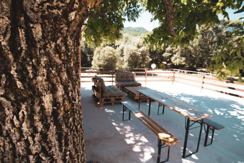 - une table de pique-nique et des chaises à côté d'un arbre dans l'établissement CASA RURAL EL PADRONCILLO, à Riópar