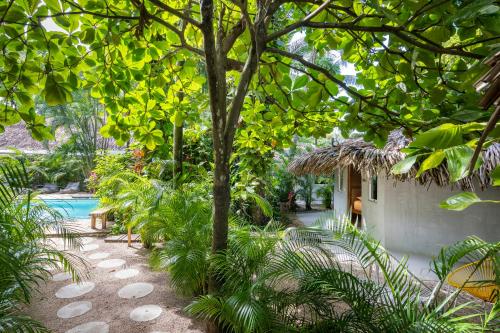 einen tropischen Garten mit einem Pool und einem Baum in der Unterkunft Norte Nosara - Steps to Playa Guiones in Nosara