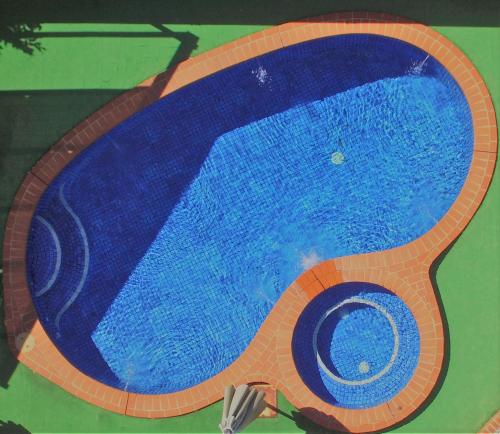 a painting of a swimming pool with a blue toilet at Golden Reef Motor Inn in Bendigo