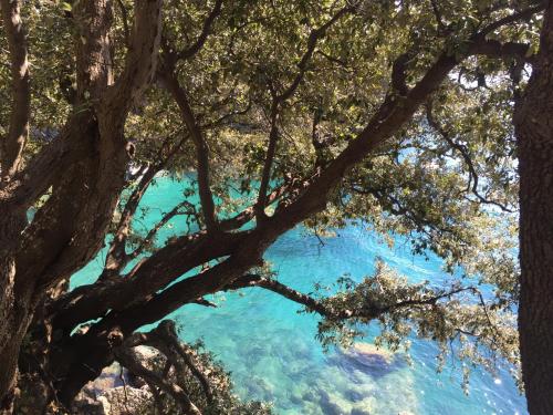 Gallery image of Infinity view in Vernazza