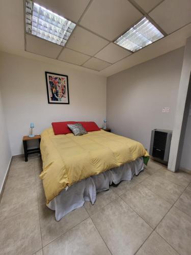 una camera con un grande letto in una stanza con lucernari di Los Arroyo a Ushuaia