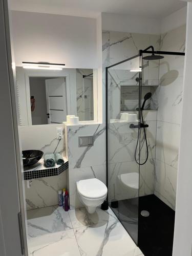 Un baño con inodoro y ducha de cristal. en PK Premium Apartments, en Bolesławiec
