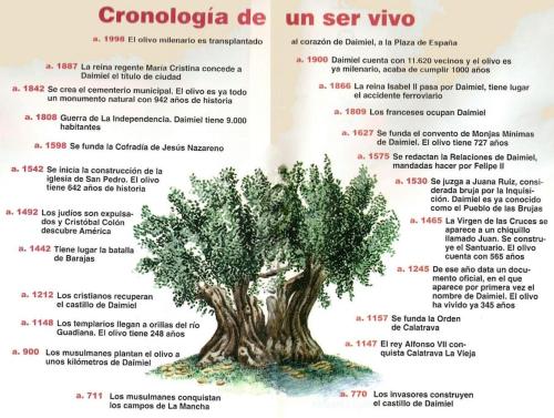 a page of a book with a picture of a tree at SUITE LUJOSO CON CHIMENEA in Daimiel