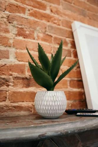 Galeriebild der Unterkunft Sleek and Cozy Micro Fells Point Residence! in Baltimore